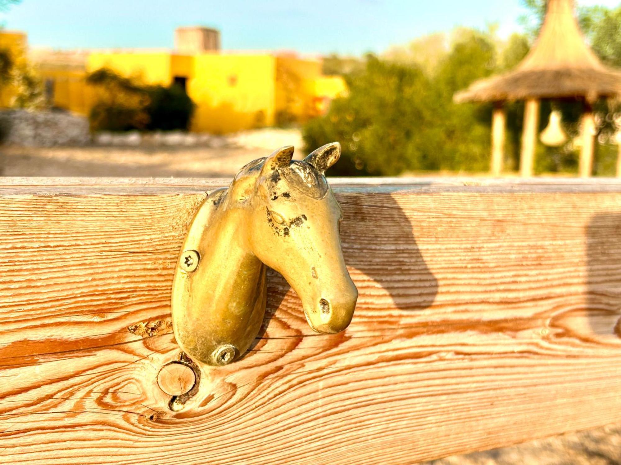 Eco-Ranch Salome Lägenhet Sidi Kaouki Exteriör bild